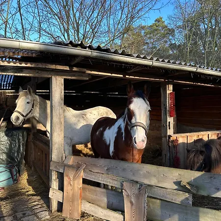 Apartmán Meeresblick