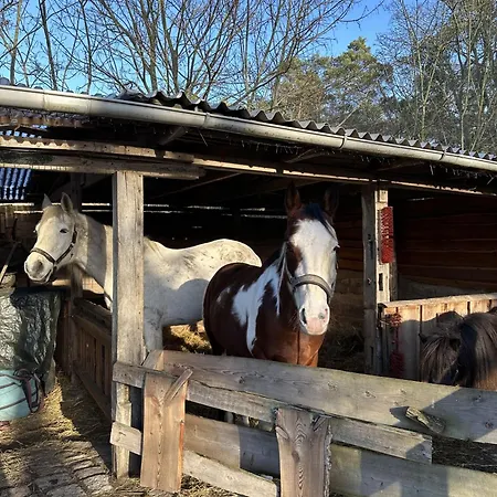 Meeresblick * Graal-Mueritz